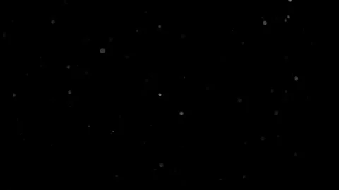 Natural Organic Dust Particles Float On Black Background. Dust In Motion. Stock Footage 298402413