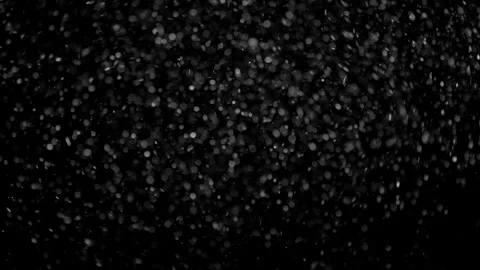Natural Organic Dust Particles Float On Black Background. Dust In Motion. Stock Footage 298402461