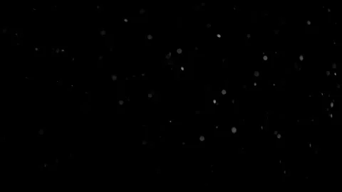 Natural Organic Dust Particles Float On Black Background. Dust In Motion. Stock Footage 298402473