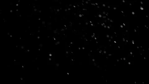 Natural Organic Dust Particles Float On Black Background. Dust In Motion. Stock Footage 298402531