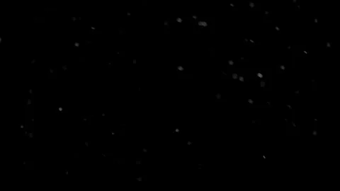 Natural Organic Dust Particles Float On Black Background. Dust In Motion. Stock Footage 298402570