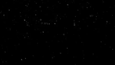Natural Organic Dust Particles Float On Black Background. Dust In Motion. Stock Footage 298402632