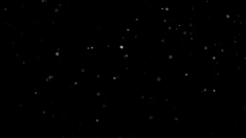 Natural Organic Dust Particles Float On Black Background. Dust In Motion. Stock Footage 298402648