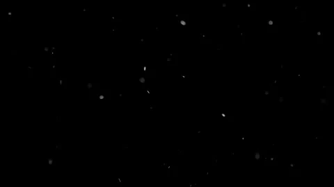 Natural Organic Dust Particles Float On Black Background. Dust In Motion. Stock Footage 298402649