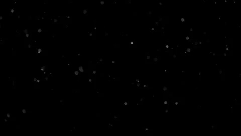 Natural Organic Dust Particles Float On Black Background. Dust In Motion. Stock Footage 298402663