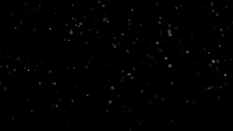 Natural Organic Dust Particles Float On Black Background. Dust In Motion. Stock Footage 298402664