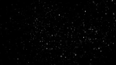 Natural Organic Dust Particles Float On Black Background. Dust In Motion. Stock Footage 298402795