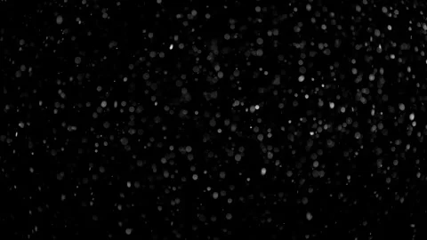 Natural Organic Dust Particles Float On Black Background. Dust In Motion. Stock Footage 298402803