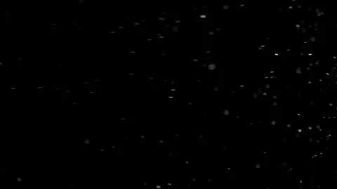 Natural Organic Dust Particles Float On Black Background. Dust In Motion. Stock Footage 298402822