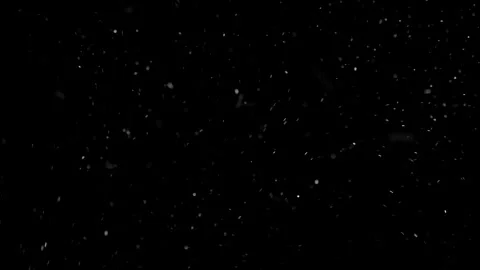 Natural Organic Dust Particles Float On Black Background. Dust In Motion. Stock Footage 298402890