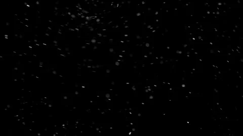 Natural Organic Dust Particles Float On Black Background. Dust In Motion. Stock Footage 298402916