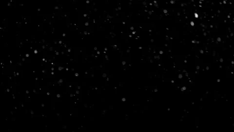 Natural Organic Dust Particles Float On Black Background. Dust In Motion. Stock Footage 298403039