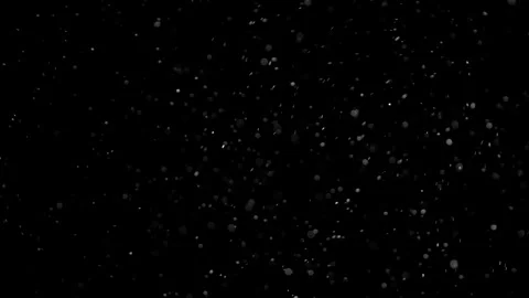 Natural Organic Dust Particles Float On Black Background. Dust In Motion. Stock Footage 298403120