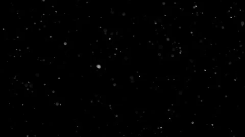 Natural Organic Dust Particles Float On Black Background. Dust In Motion. Stock Footage 298403225
