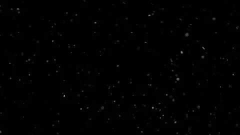 Natural Organic Dust Particles Float On Black Background. Dust In Motion. Stock Footage 298403254