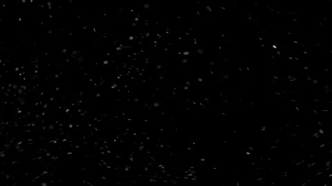 Natural Organic Dust Particles Float On Black Background. Dust In Motion. Stock Footage 298403308