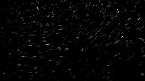Natural Organic Dust Particles Float On Black Background. Dust In Motion. Video stock 298403359
