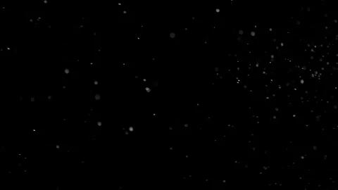 Natural Organic Dust Particles Float On Black Background. Dust In Motion. Video stock 298403457