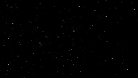 Natural Organic Dust Particles Float On Black Background. Dust In Motion. Video stock 298403496