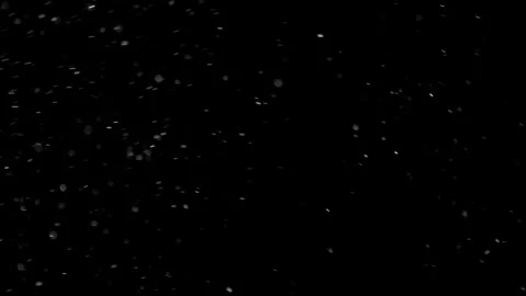 Natural Organic Dust Particles Float On Black Background. Dust In Motion. Video stock 298403553