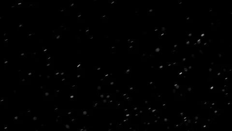 Natural Organic Dust Particles Float On Black Background. Dust In Motion. Video stock 298403891