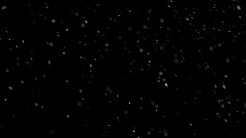 Natural Organic Dust Particles Float On Black Background. Dust In Motion. Video stock 298403934