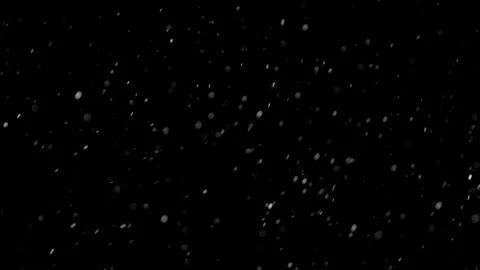 Natural Organic Dust Particles Float On Black Background. Dust In Motion. Video stock 298403938