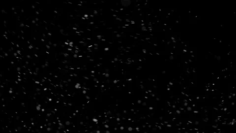 Natural Organic Dust Particles Float On Black Background. Dust In Motion. Video stock 298404030