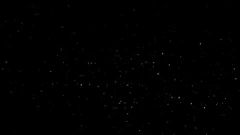 Natural Organic Dust Particles Float On Black Background. Dust In Motion. Video stock 298404076