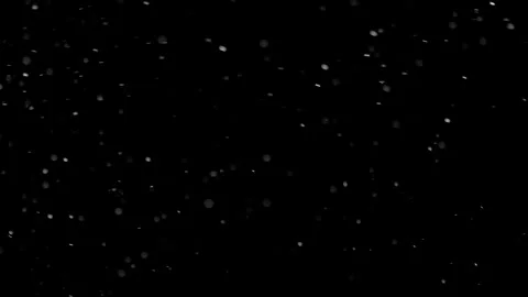 Natural Organic Dust Particles Float On Black Background. Dust In Motion. Video stock 298404638