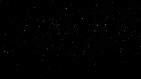 Natural Organic Dust Particles Float On Black Background. Dust In Motion. Video stock 298404661