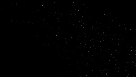 Natural Organic Dust Particles Float On Black Background. Dust In Motion. Video stock 298404700