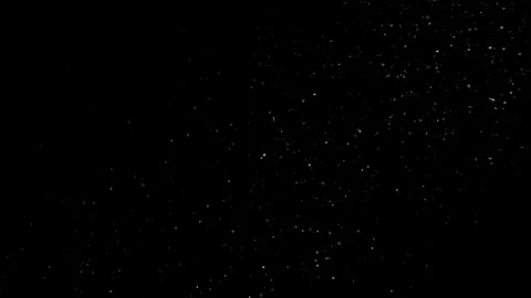 Natural Organic Dust Particles Float On Black Background. Dust In Motion. Video stock 298404724