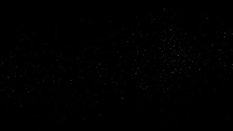 Natural Organic Dust Particles Float On Black Background. Dust In Motion. Video stock 298404776