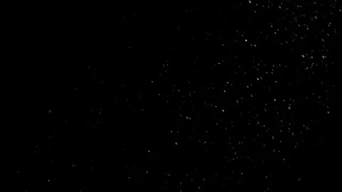 Natural Organic Dust Particles Float On Black Background. Dust In Motion. Video stock 298404857