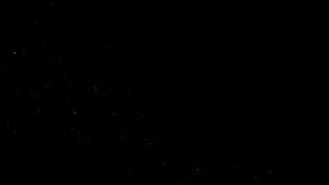 Natural Organic Dust Particles Float On Black Background. Dust In Motion. Video stock 298404900