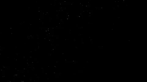 Natural Organic Dust Particles Float On Black Background. Dust In Motion. Video stock 298404920
