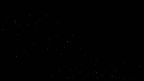 Natural Organic Dust Particles Float On Black Background. Dust In Motion. Video stock 298405005