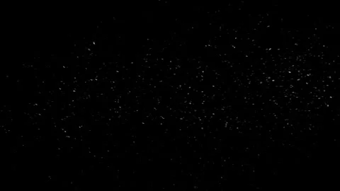 Natural Organic Dust Particles Float On Black Background. Dust In Motion. Video stock 298405011