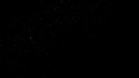Natural Organic Dust Particles Float On Black Background. Dust In Motion. Video stock 298405019