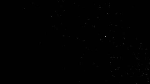 Natural Organic Dust Particles Float On Black Background. Dust In Motion. Video stock 298405114
