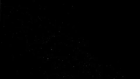 Natural Organic Dust Particles Float On Black Background. Dust In Motion. Video stock 298405321