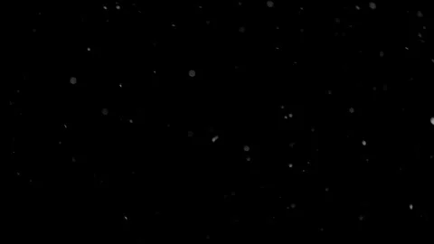 Natural Organic Dust Particles Float On Black Background. Dust In Motion. Video stock 298405330