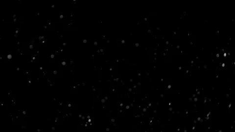 Natural Organic Dust Particles Float On Black Background. Dust In Motion. Video stock 298405465