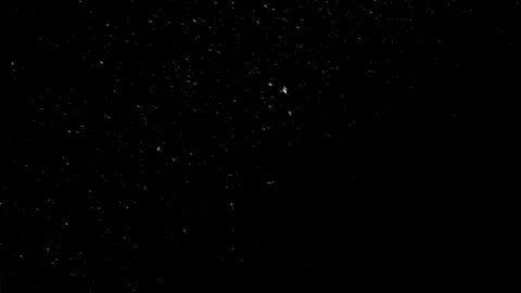 Natural Organic Dust Particles Float On Black Background. Dust In Motion. Video stock 298405510