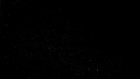Natural Organic Dust Particles Float On Black Background. Dust In Motion. Video stock 298405651