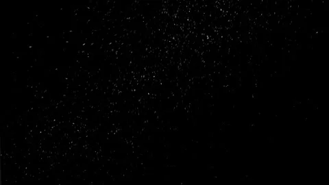 Natural Organic Dust Particles Float On Black Background. Dust In Motion. Video stock 298405711