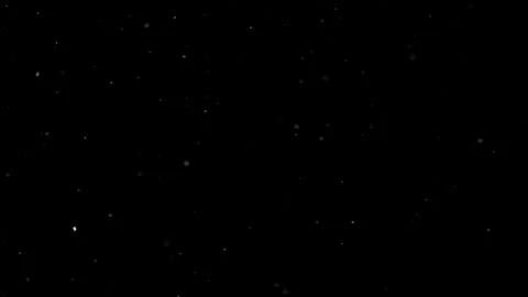 Natural Organic Dust Particles Float On Black Background. Dust In Motion. Stock Footage 301260713