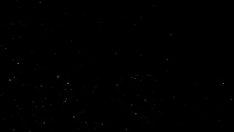 Natural Organic Dust Particles Float On Black Background. Dust In Motion. 库存影片 301260718