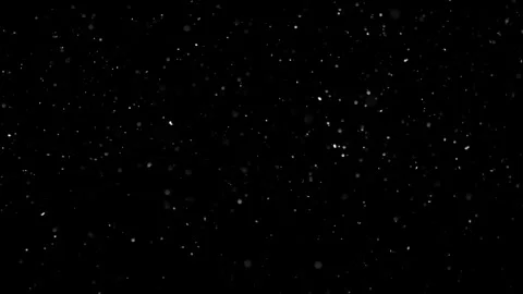 Natural Organic Dust Particles Float On Black Background. Dust In Motion. Stock Footage 301260853